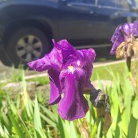 Хорошо  в Сочи!   Снимала Саша :: Фотогруппа Весна