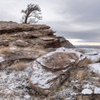 Присыпаны снегом :: Марина Фомина.