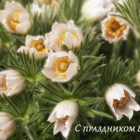 Поздравляю с праздником всех Фотографинь сайта! :: Лилия *