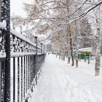 *** :: Виктор Фельдшеров *** :: Виктор Фельдшеров