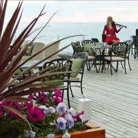 Очаровательная скрипка звучит для милых дам! :: Надежда 