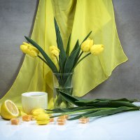 7 марта  - День тюльпанов :: Людмила Павловна Крышковец