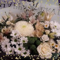 Милые девушки,поздравляю с праздником! :: Нина Андронова