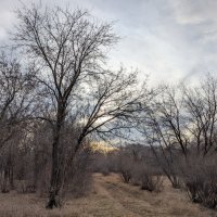 Осенний день :: Андрей Хлопонин