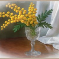 Мимоза :: Aleksey Afonin