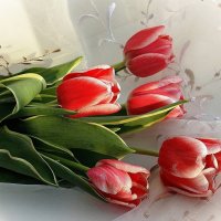 С Днем 8 Марта, милые женщины! :: Галина Нестратова