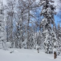 Снега Шунута :: Евгений Тарасов 