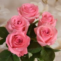 Букет для любимой :: Сергей М 