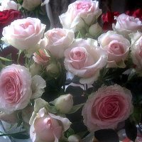 С 8 МАРТОМ! СЧАСТЬЯ,ЛЮБВИ,ДОБРА И КРАСОТЫ! :: Елена Семигина