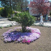 Весна в парке  Тренёва :: Валентин Семчишин