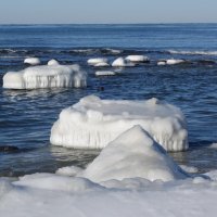 Февраль, Балтийское море и побережье, Калининградская область :: Рита Симонова