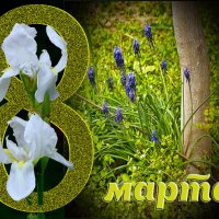 С праздником, дорогие женщины! :: Светлана 