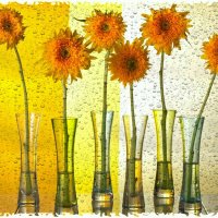 Слёзы в бокале :: Виктор  /  Victor Соболенко  /  Sobolenko