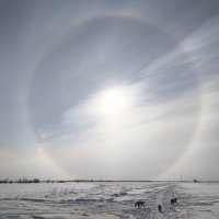 Весна :: Anna Ivanova