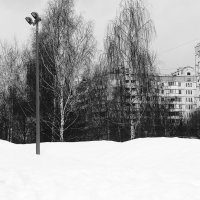 В Москву пришла весна. Вроде как... :: Василий Палий