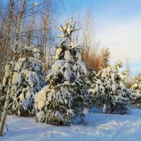 справляют 8 марта :: Владимир 