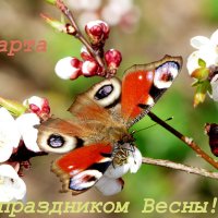 С праздником 8 марта.! :: Александр Прокудин