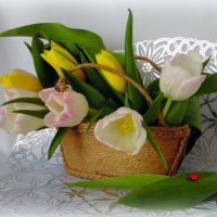 Чудесной всем весны. :: nadyasilyuk Вознюк