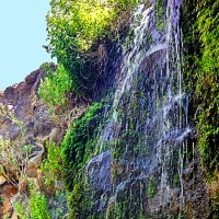 МЕДИТАЦИЯ :: Анатолий Малобродский