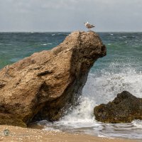 Морской страж :: Игорь Сарапулов Морской страж :: Игорь Сарапулов