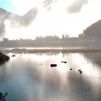 Утро :: Мишель71 