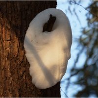 Картинка марта :: Валентин Котляров