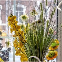 Про цветы... :: Aquarius - Сергей Про цветы... :: Aquarius - Сергей