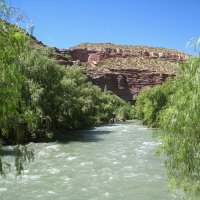 Река Атуэль, Аргентина. :: unix (Илья Утропов)