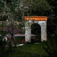 Заброшеный сад :: Valziwa 