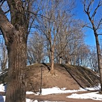 В Тёмном саду :: Veera V