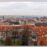 Прага :: Tata Wolf