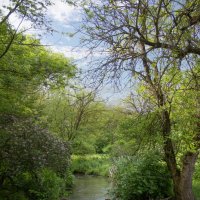 *** :: Александр. AVG100 ---