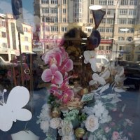 *** :: Валентина Береснева