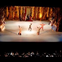 ПИТЕР, Лебединое озеро. :: Виктор Осипчук