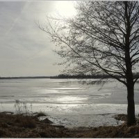 Светит и греет :: Aleksandr Gal