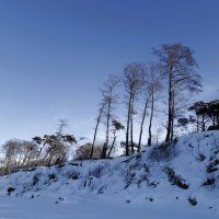 Февраль, Побережье Балтийского моря, Калининградская область :: Рита Симонова