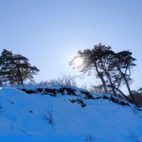 Февраль, Побережье Балтийского моря, Калининградская область :: Рита Симонова