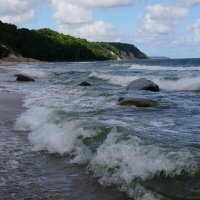 ~  ~  ~ :: Алёна Савина