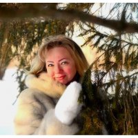 Морозный день. :: Михаил Курзанцев