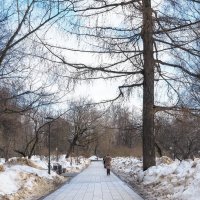 ***** :: юрий поляков