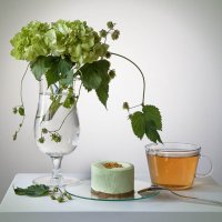 С фисташковым пирожным. :: Лилия *