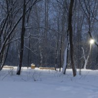 Парк в снегу :: Александр Буторин