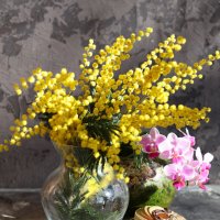 Март :: Irene Irene