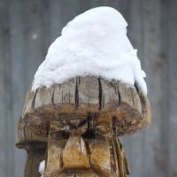 В парке :: Savayr 