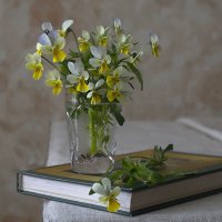 весна :: Александра [-/