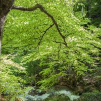 Хочется весны) :: Денис Масленников