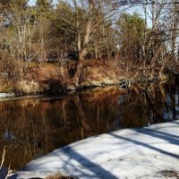 весна :: ИННА ПОРОХОВА