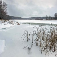 Голубой залив :: **** vedin