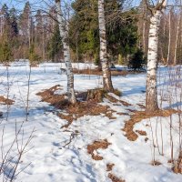 Появляются проталины :: Валерий Иванович