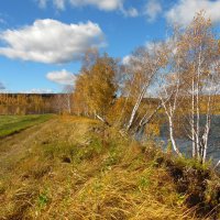 Подмытый бережок. :: nadyasilyuk Вознюк